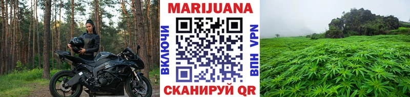 магазин продажи   Куйбышев  Конопля сатива 